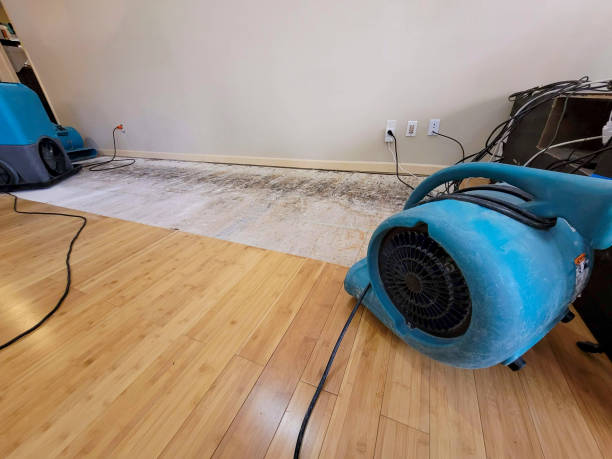Professional Flood Damage Cleanup technician working in Milton, GA